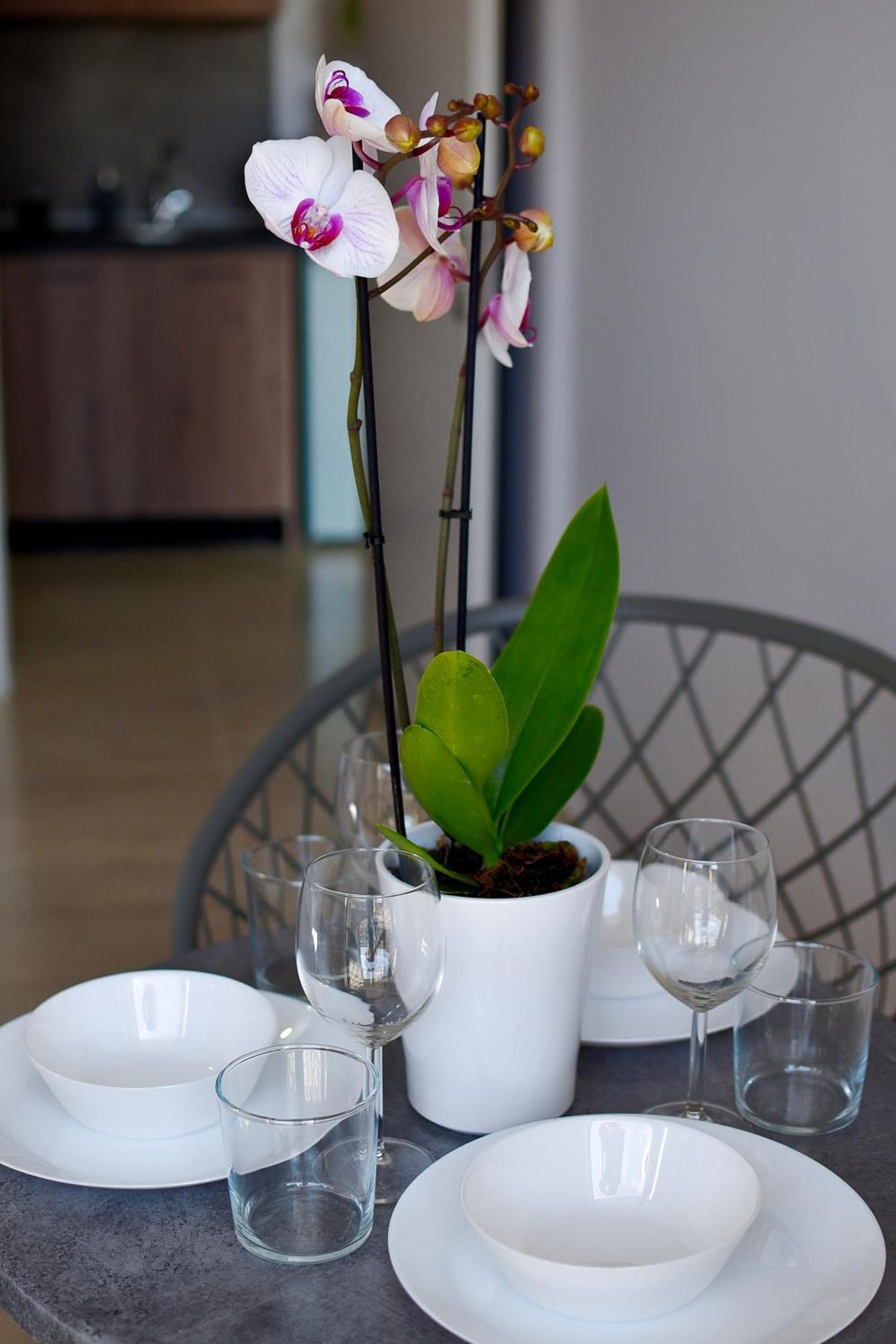 Room Nine 9 Beachfront Apartments Nea Kallikrateia Εξωτερικό φωτογραφία